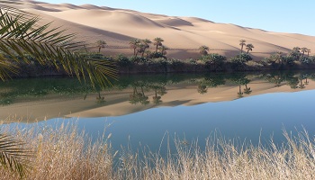 Restaurants in Libya Where to eat inLibya Restaurants in Libya Where to eat in Libya