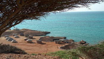 Restaurants in Djibouti Where to eat inDjibouti Restaurants in Djibouti Where to eat in Djibouti