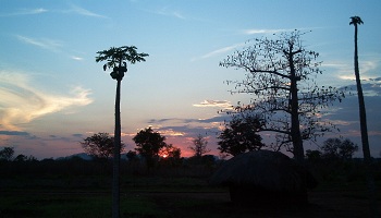 Restaurants in Mozambique Where to eat inMozambique Restaurants in Mozambique Where to eat in Mozambique