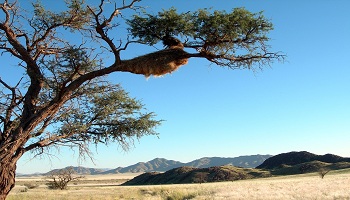 Restaurants in Namibia Where to eat inNamibia Restaurants in Namibia Where to eat in Namibia
