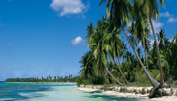 دليل مطاعم تونجا أين تأكل فى تونجا