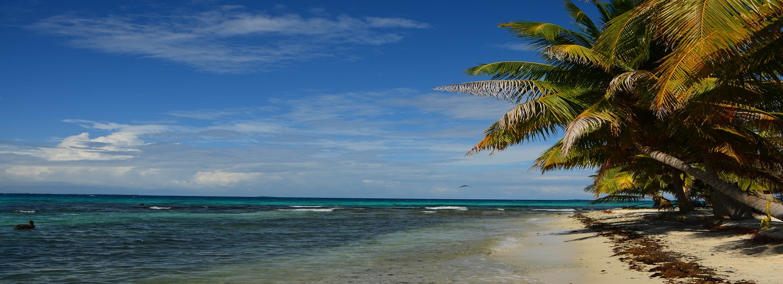 Transfer Offers in Belize. Low Cost Transfers in  Belize 