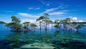 Restaurants in Aruba Where to eat inAruba Restaurants in Aruba Where to eat in Aruba