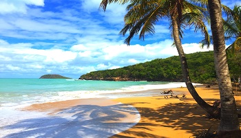 Restaurants in Guadeloupe Where to eat inGuadeloupe Restaurants in Guadeloupe Where to eat in Guadeloupe