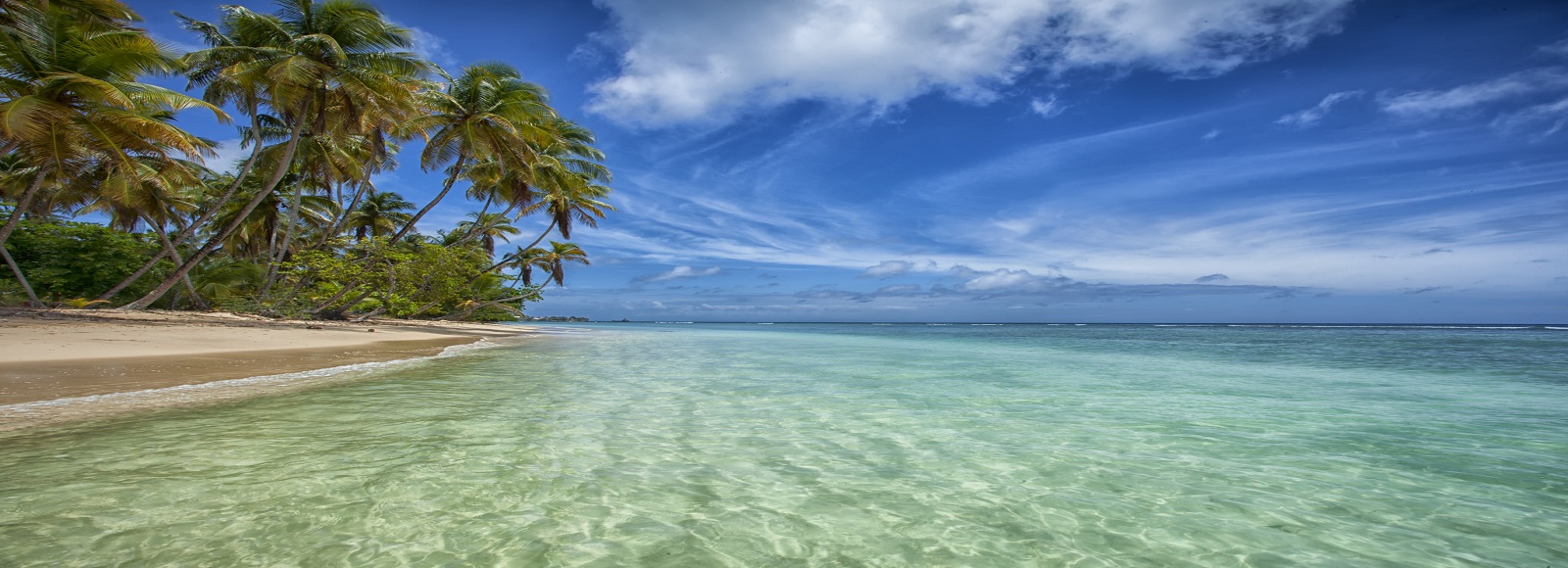 Transfer Offers in Trinidad & Tobago. Low Cost Transfers in  Trinidad & Tobago 