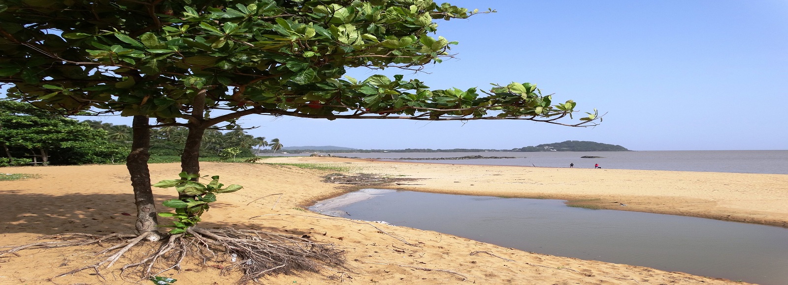 Transfer Offers in French Guiana. Low Cost Transfers in  French Guiana 