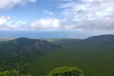 Full-Day Hiking Tour in Terceira Island - Rocha do Chambre Full-Day Hiking Tour in Terceira Island - Rocha do Chambre
