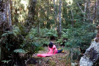 Nature Therapy Walks  Nature Therapy Walks