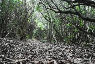 Pure Air Walking Trails Pure Air Walking Trails