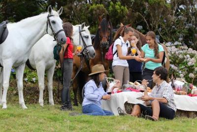 Equestrian trail rides  Equestrian trail rides