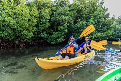 Bioluminescent Bay Night Kayaking Tour 8:00pm | Laguna Grande, Fa
