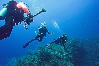 Guided Shore Diving Tour