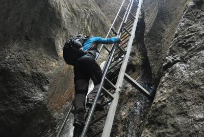 Small-Group Day Trip to the Epic 7 Ladders Canyon from Brasov Small-Group Day Trip to the Epic 7 Ladders Canyon from Brasov
