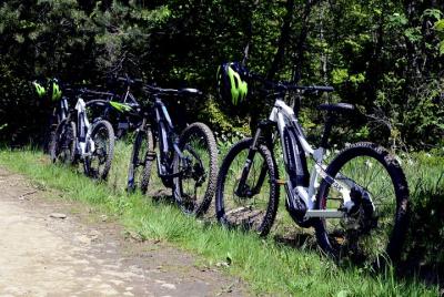 Fertő plateau e-bike tour Fertő plateau e-bike tour