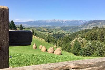PRIVATE Day Hike on rollings hills near Bran Castle, through moun PRIVATE Day Hike on rollings hills near Bran Castle, through moun