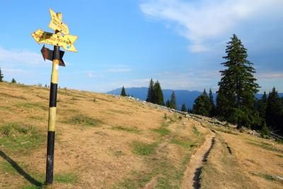 Piatra Craiului National Park Private Hiking Tour from Brasov