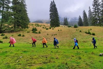 Pestera and Magura Full-Day Private Walking Tour from Brasov Pestera and Magura Full-Day Private Walking Tour from Brasov