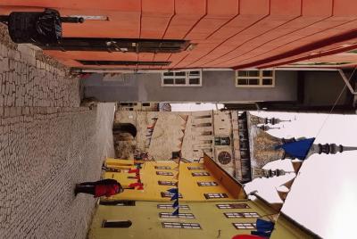 On the tracks of Count Dracula. Brasov, Bran Castle, Sighisoara, 