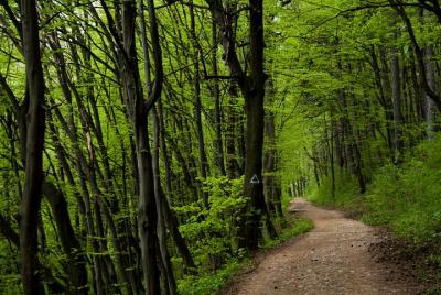 Perfect bike tour around Brasov