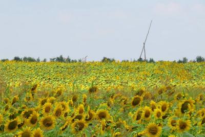 100 km by bike near Bucharest 100 km by bike near Bucharest