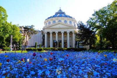 Bucharest Layover Tour - 6 Hours Private City Tour Between Flight