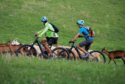 E-bike guided tours in Romania E-bike guided tours in Romania
