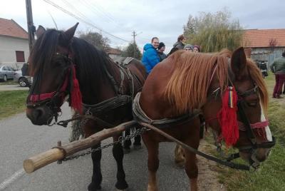 Full-Day Private Tour to Traian Vuia and Margina