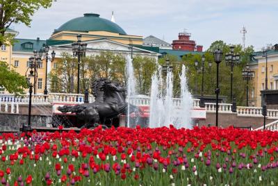 Full-Day Walking Tour in Moscow with Guide and Lunch included