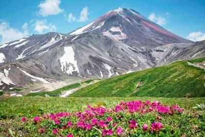Kamchatka Private Day Tour: Trekking Avacha Volcanoes Kamchatka Private Day Tour: Trekking Avacha Volcanoes