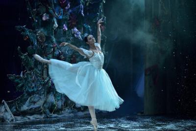 Classic Russian Ballet Ticket in St Petersburg Classic Russian Ballet Ticket in St Petersburg