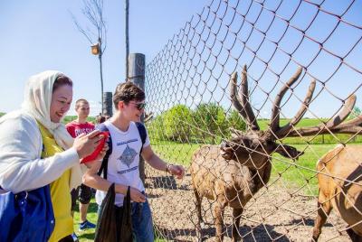 Deer Farm & White mountain Deer Farm & White mountain