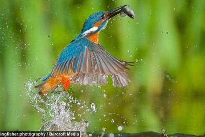 أماكن سياحيه فى كيبوي  أنشطه يمكن أن تقوم بها فى  كيبوي  178951