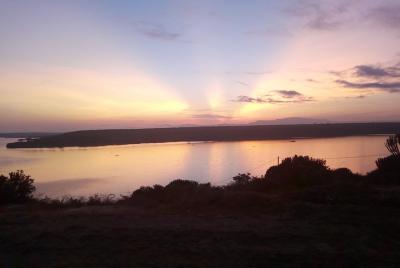 Amazing Primate Safaris