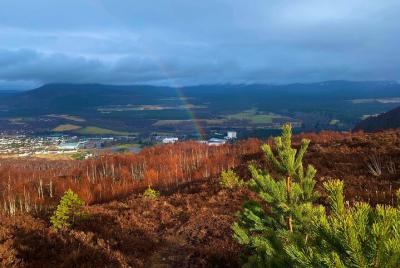 Private Cairngorm National Park tour Private Cairngorm National Park tour
