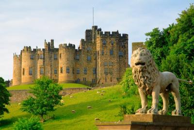 Viking Coast and Alnwick Castle Small Group Day Tour from Edinburgh Viking Coast and Alnwick Castle Small Group Day Tour from Edinburgh