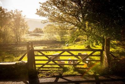 5-Day The Dales, Lake District & Hadrian 5-Day The Dales, Lake District & Hadrian's Wall Small-Group Tour from Edinburgh