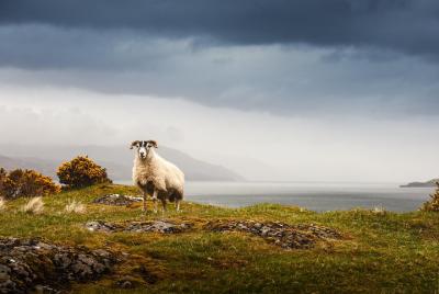 5-Day Iona, Mull and the Isle of Skye Small-Group Tour from Edinburgh 5-Day Iona, Mull and the Isle of Skye Small-Group Tour from Edinburgh