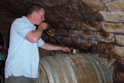 Half-day Wine Tasting Tour in Etyek Wine Country near Budapest Half-day Wine Tasting Tour in Etyek Wine Country near Budapest