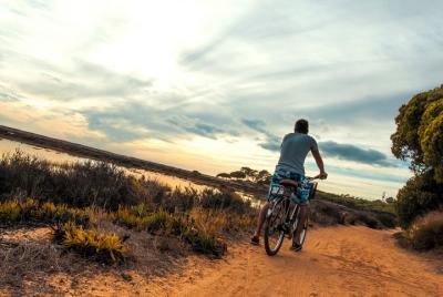 Ria Formosa Natural Park Bike Tour