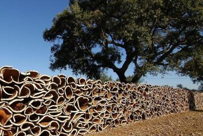 Villages in the Hills and Cork - Private Half-day Tour