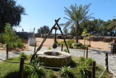 Abu Dhabi Small group city tour from Dubai with Grand mosque, Her