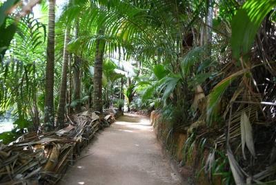Palms and Pearls Full Day Tour  Palms and Pearls Full Day Tour