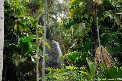 Half Day Discovery Tour of Vallee de Mai on Praslin Island Half Day Discovery Tour of Vallee de Mai on Praslin Island