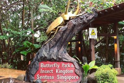 Discover Wildlife Butterfly Park & Insect Kingdom Discover Wildlife Butterfly Park & Insect Kingdom