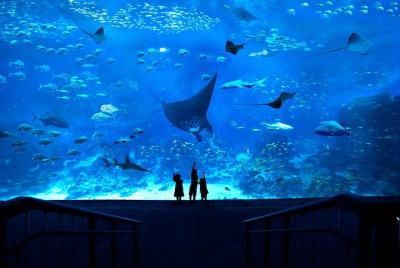 S.E.A. Aquarium Admission Ticket S.E.A. Aquarium Admission Ticket