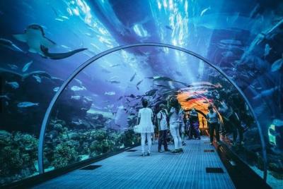 Skip the Line : S.E.A. Aquarium One Day Ticket only Skip the Line : S.E.A. Aquarium One Day Ticket only
