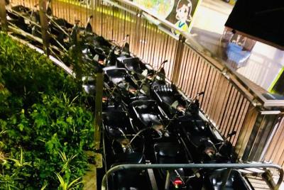 Enjoy the Skyline Luge & Skyride Enjoy the Skyline Luge & Skyride