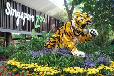 Singapore Flexi Attractions Pass Singapore Flexi Attractions Pass