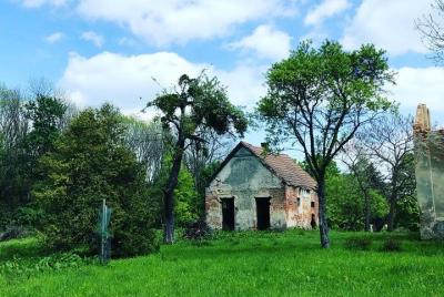 In the track of forest people In the track of forest people