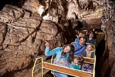 Postojna Cave and Predjama Castle Small-Group Day Trip from Bled Postojna Cave and Predjama Castle Small-Group Day Trip from Bled
